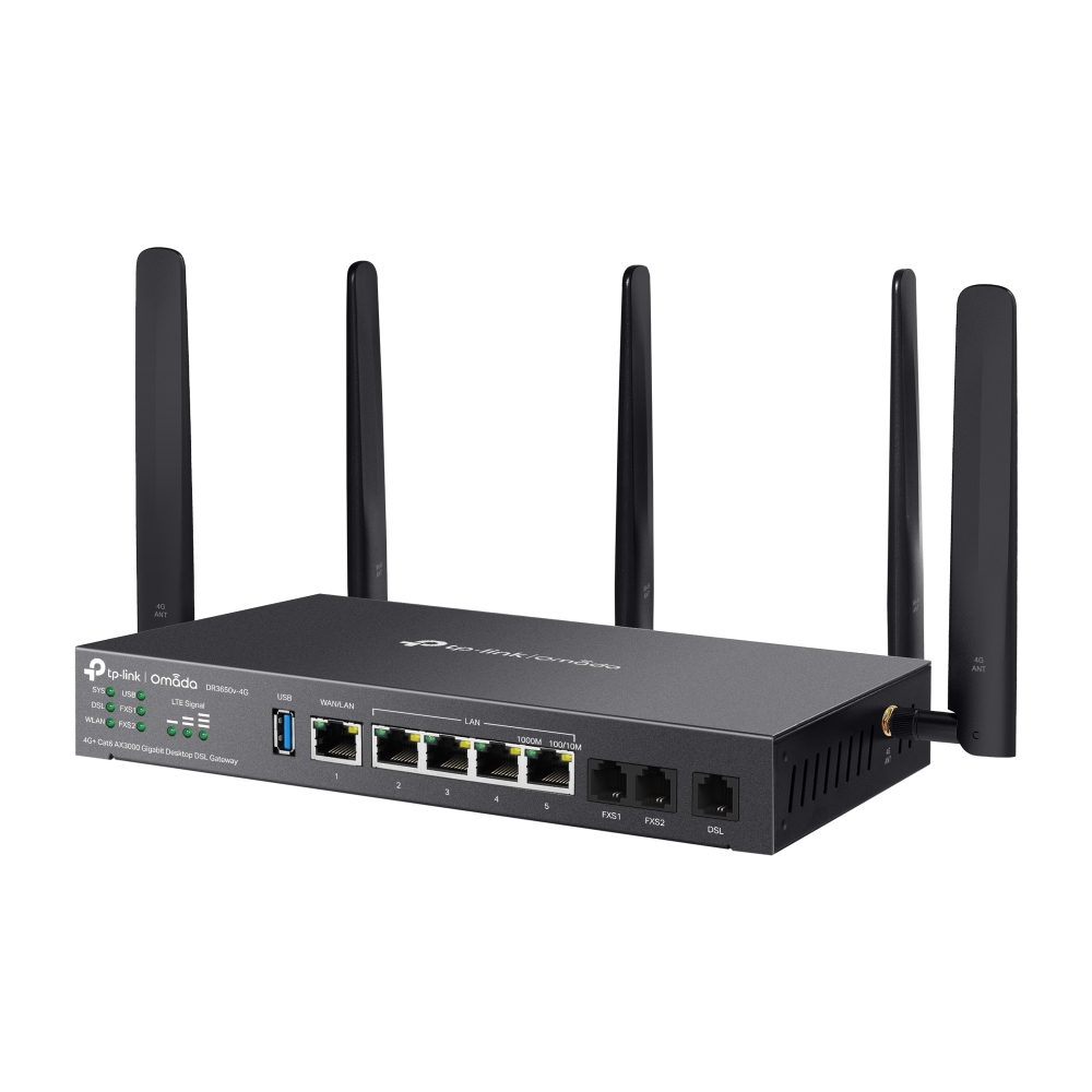 TP-Link Omada DR3650v-4G